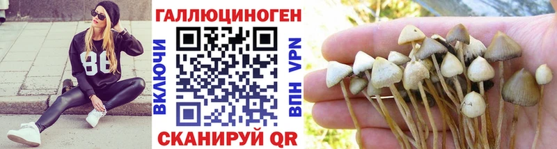 Галлюциногенные грибы Psilocybine cubensis  Самара 